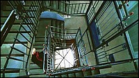 D02.jpg